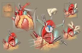 Les valves biologiques